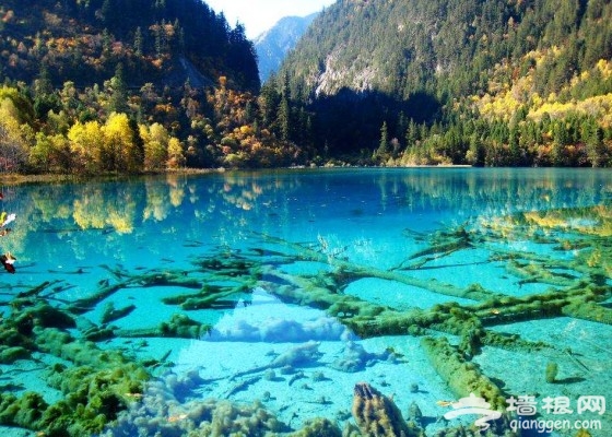 玩转春天美景 国内8站短途旅行线路[墙根网]