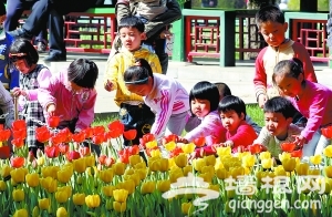 北京中山公园2011年郁金香展览开幕