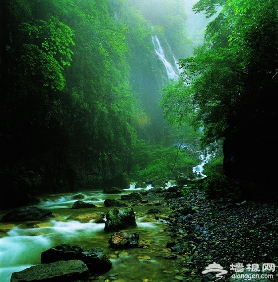 春天赏花野路子 自驾怀柔“四条沟”[墙根网]