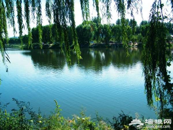 踏青北京“江南水乡” 翠湖湿地烧烤看鸟两不误[墙根网]