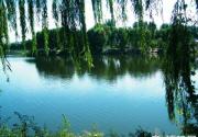 踏青北京“江南水乡” 翠湖湿地烧烤看鸟两不误