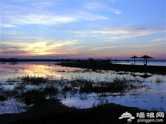 北京自驾内蒙古 达里诺尔湖看“大海”