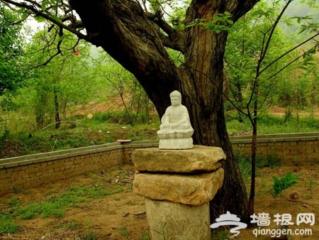 密云黑山寺村 打造特色&ldquo;禅味小村&rdquo;