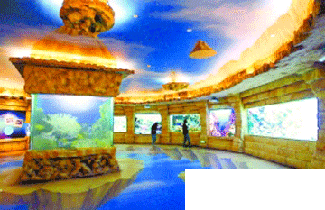 北京海洋馆开放新展区“珊瑚花园”(图)