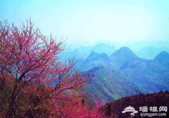 古香道穿越：从阳台山游走到妙峰山(图)