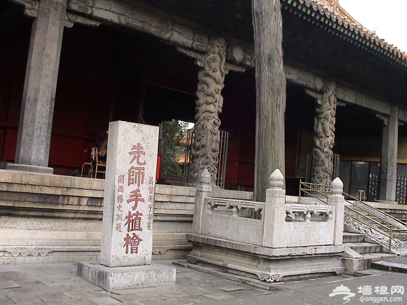 先师手植桧