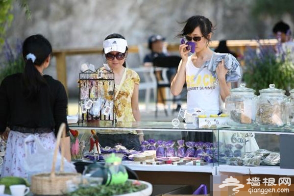 游香:香草园中可以随意参与的游戏
