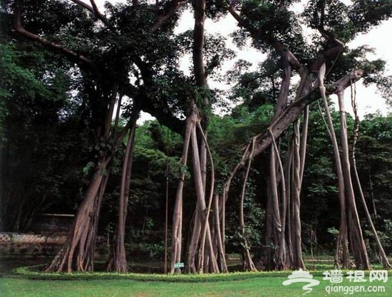 五月母亲当道 最适合打扮潮妈的旅游地