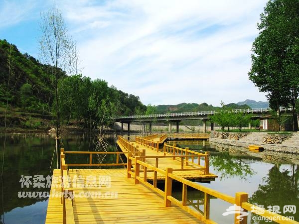 白河湾沟域经济产业带精彩亮相[墙根网]