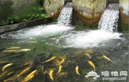 京郊度假响水湖：远望长城 近听泉水