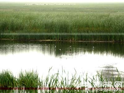 端午出行 畅游北京特色湿地公园