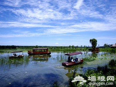 端午出行 畅游北京特色湿地公园