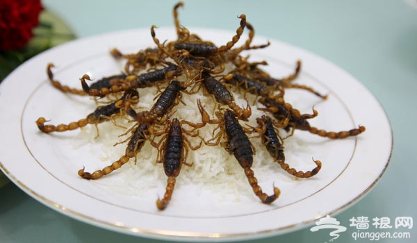 云台山十全足虫