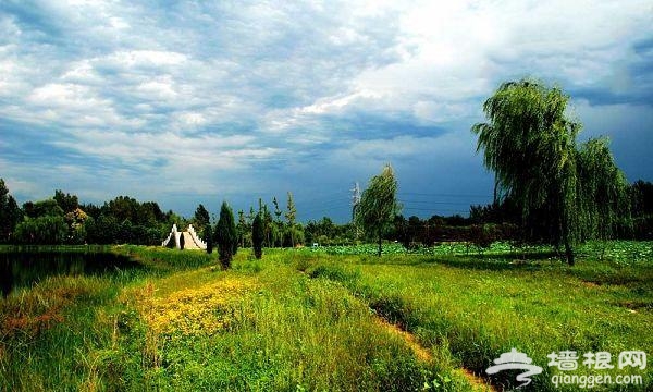下“江南”赏油菜花 房山长沟游玩攻略[墙根网]