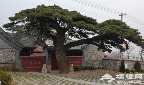 端午出行:凤凰岭上赏景 品鲜 住小院