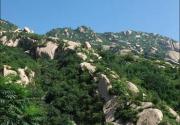 端午出行：凤凰岭上赏景 品鲜 住小院