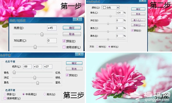 花卉摄影新玩法 "花痴社"技巧分享[墙根网]
