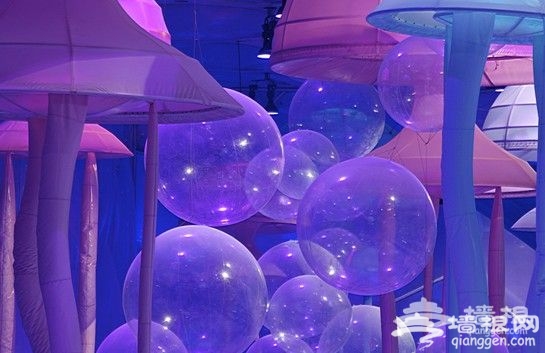 1306305311nrNGBj6m5MFz55gR.gif