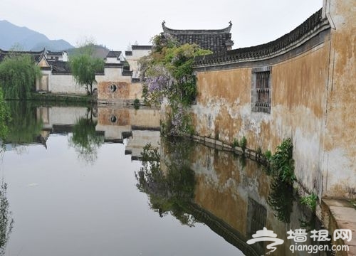 黄山游记 中国保存最完好的明代古村落[墙根网]