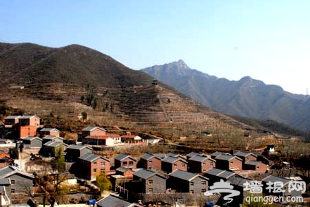 樱桃沟村:初夏里的甜蜜风暴