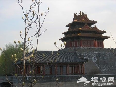 避免职场过劳 下班后在京城内闲庭漫步