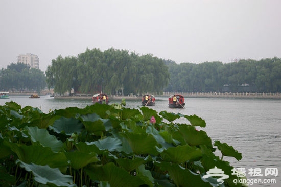 避免职场过劳 下班后在京城内闲庭漫步