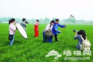 六月京郊拍靓照 回归多情的土地