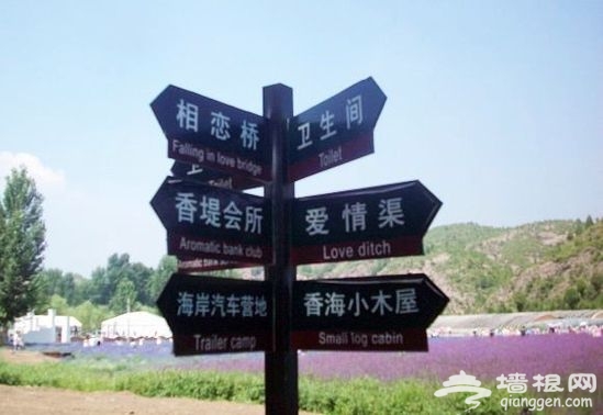 六月京郊拍靓照 回归多情的土地
