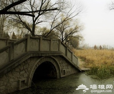 2011北京踏青好去处 翠湖湿地烧烤看鸟[墙根网]