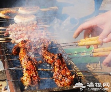 2011北京踏青好去处 翠湖湿地烧烤看鸟[墙根网]