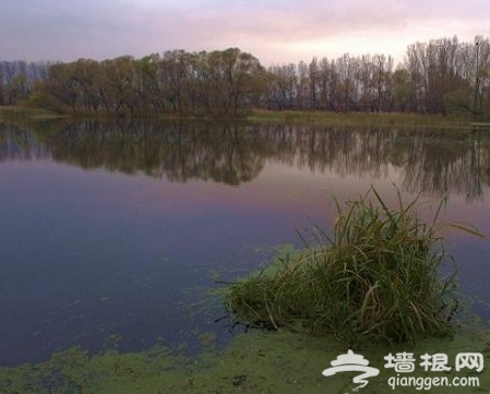 2011北京踏青好去处 翠湖湿地烧烤看鸟[墙根网]