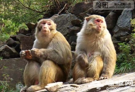 仅售16元！原价80元的十渡花果山风景区套票[墙根网]
