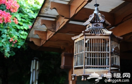 &ldquo;最北京&rdquo; 夏日庭院之荐