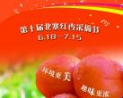 平谷北寨红杏 将迎来第十届北寨红杏采摘节