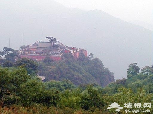 掉入一个温柔乡 妙峰山玫瑰谷相约高山玫瑰花