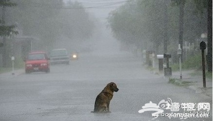 突遇暴雨 北京“看海”全攻略[墙根网]