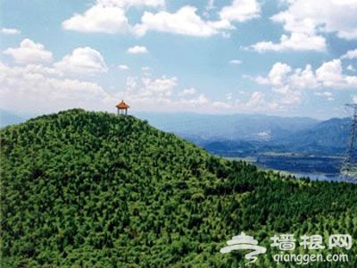 走在林间小道上 京郊6大森林公园游玩攻略