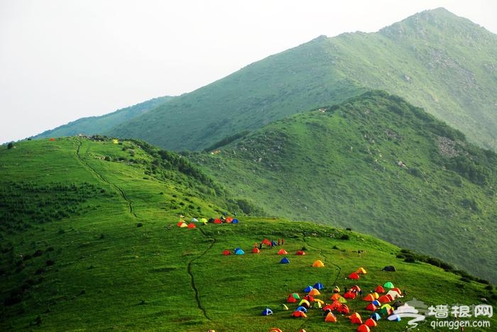登顶北京第二高山 安营寨扎海陀山看日出[墙根网]