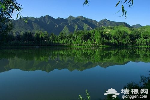 硅化木国家地质公园 硅化木国家地质公园