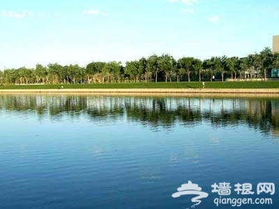 稻香湖公园 不出京城欣赏“白洋淀”美景