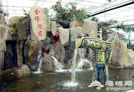 北京联成会所：田园里的逍遥周末