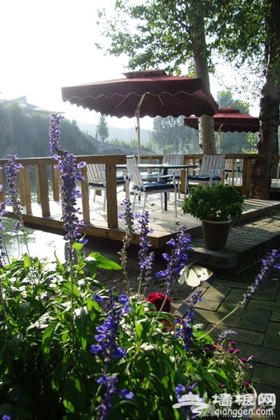 紫海香堤棚屋露营，虫鸣花香入梦来