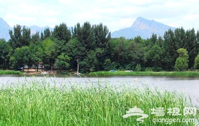 夏季看“绿海” 北京及周边草原旅游地推荐
