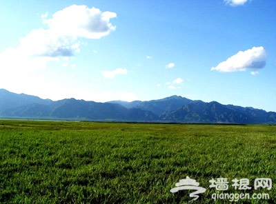 夏季看&ldquo;绿海&rdquo; 北京及周边草原旅游地推荐
