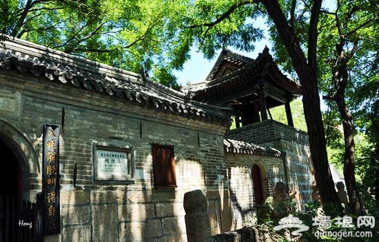薰衣草浪漫花开 云峰山净土寻香记(图)