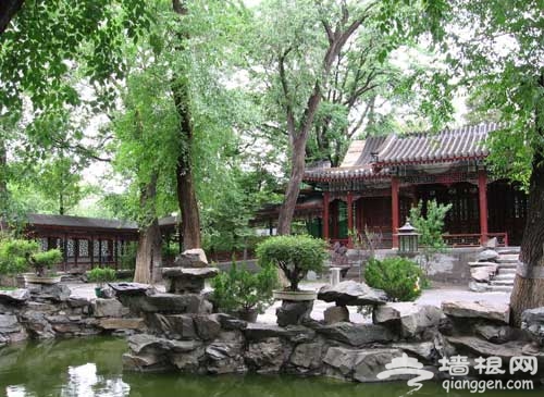 景山公园彩蝶展 美丽风景中与蝶共舞(图)