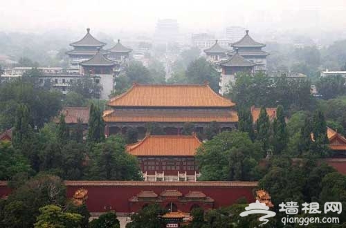 景山公园彩蝶展 美丽风景中与蝶共舞(图)