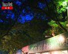 夏日炎炎 京城著名户外烧烤爽翻天
