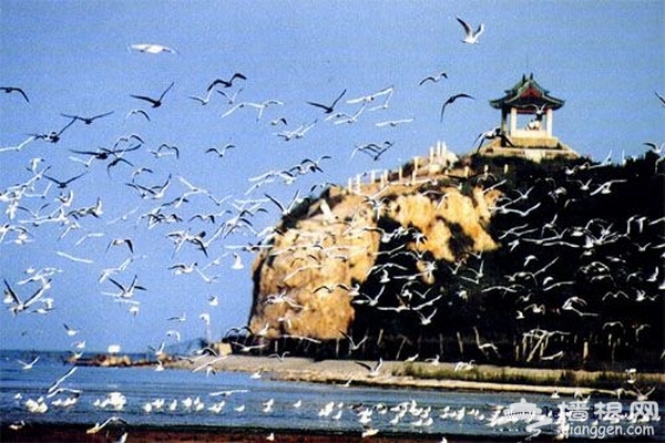 盛夏邀约去看海 北戴河自助游全攻略[墙根网]