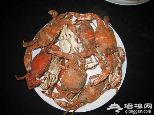 盛夏邀约去看海 北戴河自助游全攻略[墙根网]